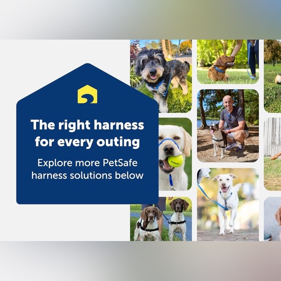 PETSAFE Gentle Leader Head Collar Stops Pulling Jumping Small up to 25lbs Black - Picture 11 of 14